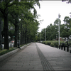 秋: Yamashita Koen Park, 山下公園