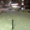 関内: 雪景色 @桜通り.横浜
