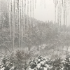 雪: 檜の宿 水上山荘 @谷川温泉.水上温泉郷.群馬
