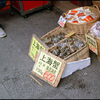 横浜中華街の店先の生きた上海蟹