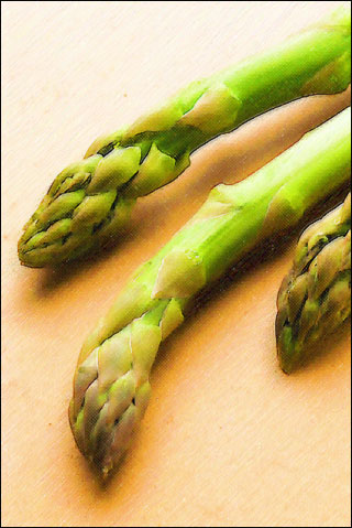 アスパラガス - asparagus