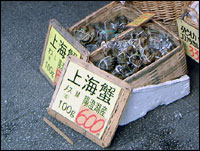 横浜中華街の店先の生きた上海蟹